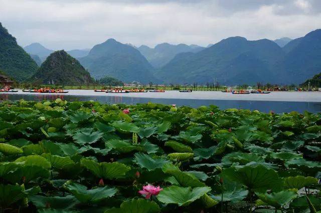 2020年云南康養(yǎng)旅游發(fā)展具備哪些資源優(yōu)勢？現(xiàn)狀如何？