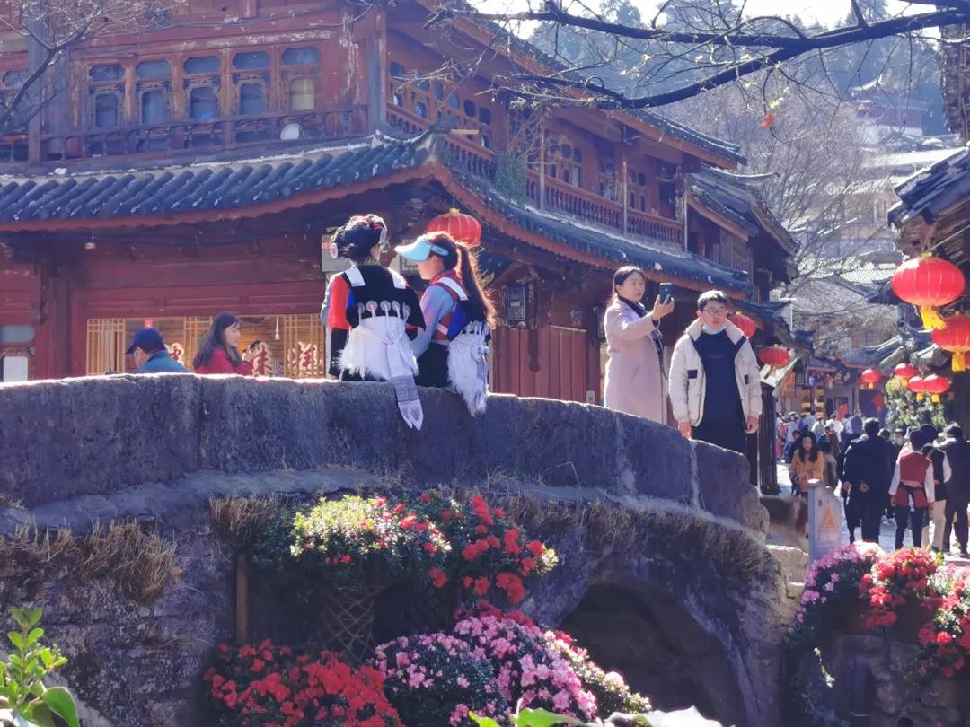 來麗江古城，感受花團錦簇、欣欣向榮