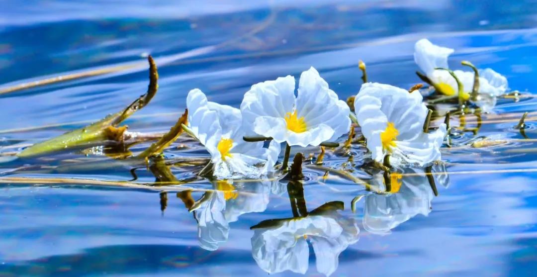 糟糕！瀘沽湖的“水性楊花”，讓我有了心動的感覺！