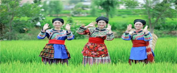 相約水鄉(xiāng)，邂逅激情！華坪縣新莊鄉(xiāng)首屆鄉(xiāng)村旅游節(jié)即將開(kāi)幕