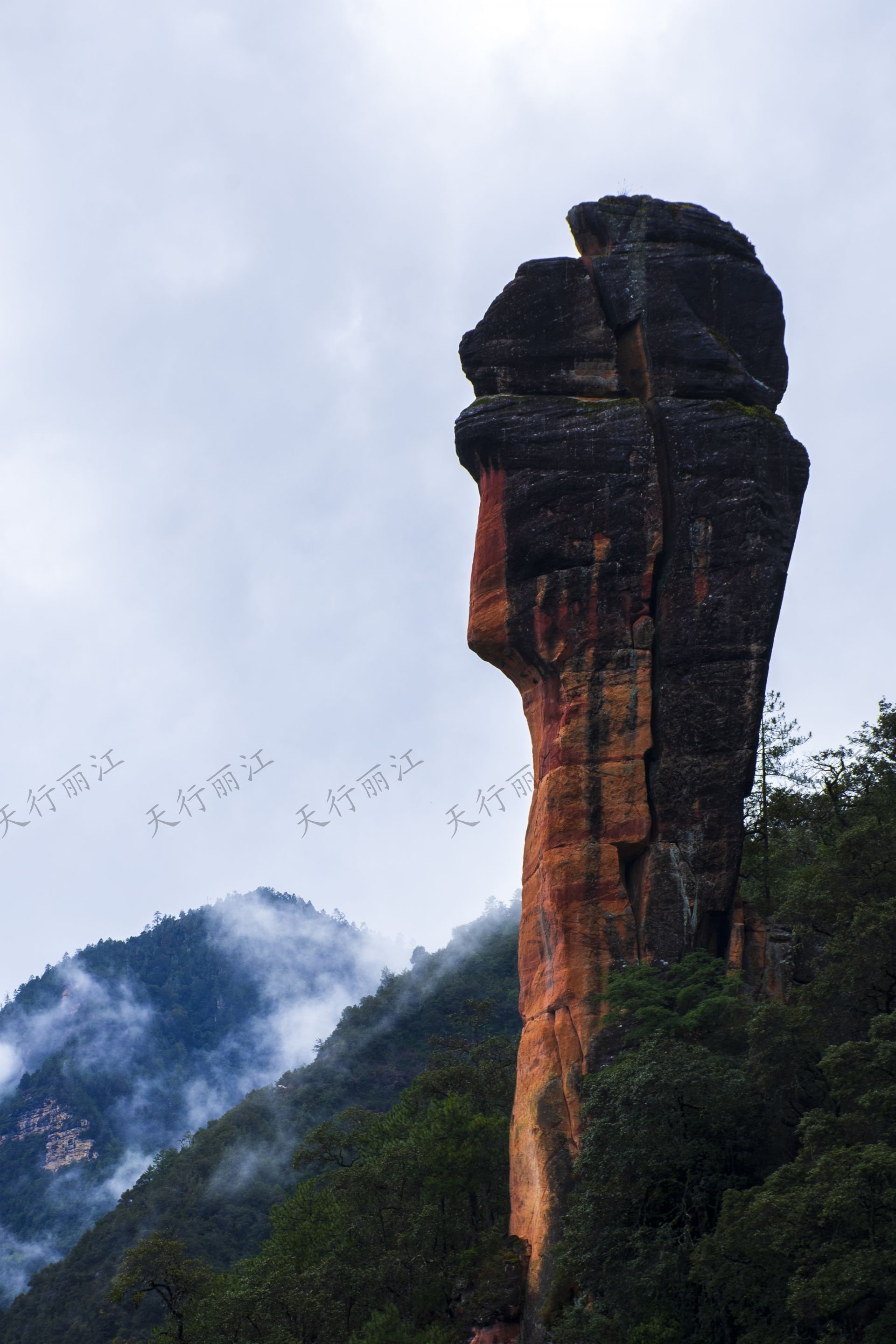 麗江老君山黎明景區(qū)因其避世的清幽、壯美的丹霞，成為了一處令人向往的秘境。 在這里，可以游壯美千龜山。景區(qū)以丹霞地貌聞名，是國內(nèi)面積最大、發(fā)育最完整的丹霞地貌。以千龜山為代表，其形如烏龜?shù)膲邀惥坝^，堪稱中國一絕。游人可乘坐索道，輕松游覽這一奇觀。