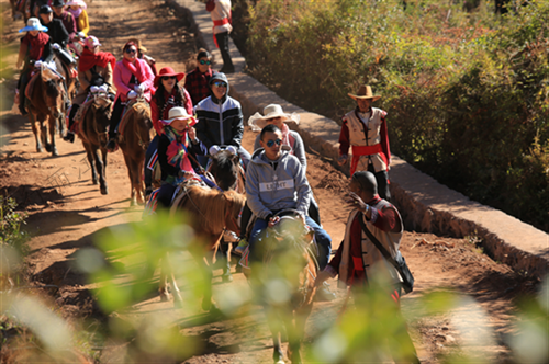 這里交通便利，區(qū)位優(yōu)越，境內(nèi)擁有高原濕地、茶馬古道、環(huán)湖生態(tài)步道、臥虎山、傳統(tǒng)古村、環(huán)海觀光大道等自然風(fēng)光，以及多彩的納西文化和獨(dú)特的田園風(fēng)光，是一個以自然資源和文化資源為主要特色的旅游名村。