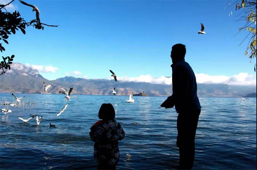 麗江傳媒公司：夢(mèng)境何處尋？——麗江打卡景點(diǎn)之瀘沽湖旅游攻略