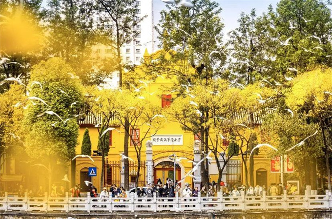 麗江旅游攻略：來云南邂逅不一樣的冬天，體驗(yàn)麗江非遺文化