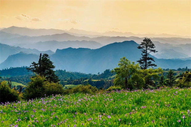 云南旅游,云南旅行社,云南團(tuán)建公司,云南策劃公司,云南會(huì)議會(huì)展,云南策劃執(zhí)行,麗江旅游,麗江旅行社,麗江團(tuán)建公司,麗江策劃公司：七月格拉丹，云海之外許你一片浪漫鳶尾